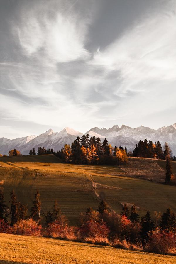 Pokoje U Danusi Groń Exterior foto